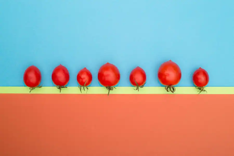 Seven cherry tomatoes arranged in a line on a vibrant red and blue background, creating a playful and colorful display.